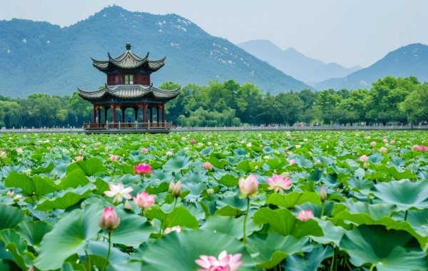 How to Plan the Perfect Hangzhou Tour