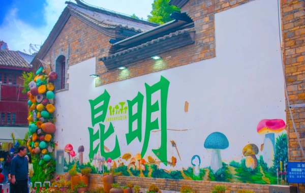 Kunming Old Street: Un couloir temporel de la gare de Tea Horse à la mémoire urbaine