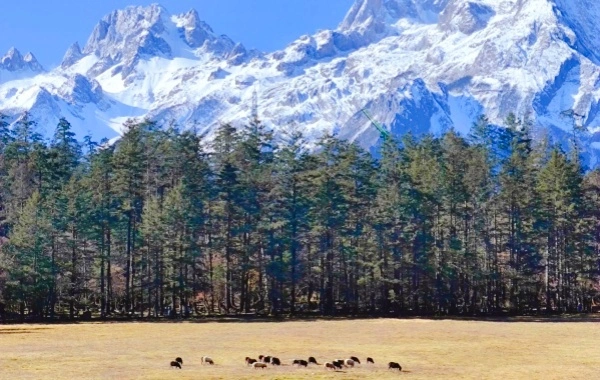 Yunshanping: Pilgerfahrt aus dem geheimen Reich von Jade Dragon Snow Mountain zum lieben Heiligen Land von Naxi