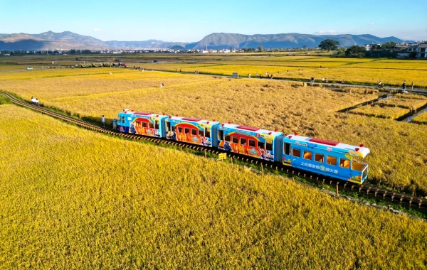 Xizhou Ancien Ville: Un voyage poétique de l'ancienne capitale de Nanzhao aux zones rurales de Cang et Erhai-4