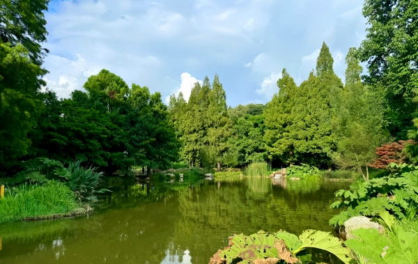 Jardín Botánico Kunming West Garden: Una épica condensada del vivero de montaña al reino de plantación-2