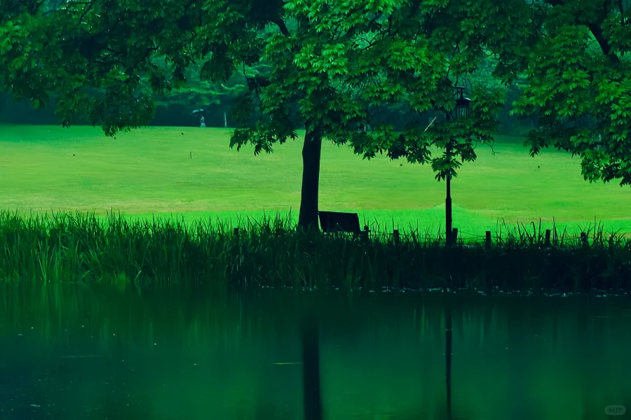 Prince Bay Park: A Rebirth Journey from West Lake Silt Site to Springtime Peak-3