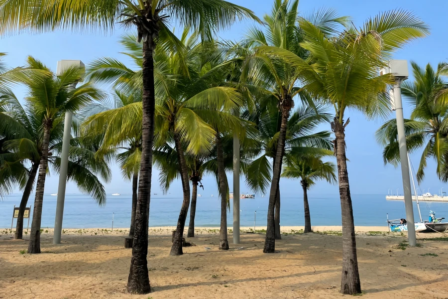 Tianya Haijiao: un viaggio romantico nel punto più meridionale della Cina continentale-2