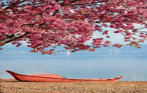 Fuxian Lake: An Ecological Journey to Discover an Underwater Ancient City and a Blue Sanctuary-4