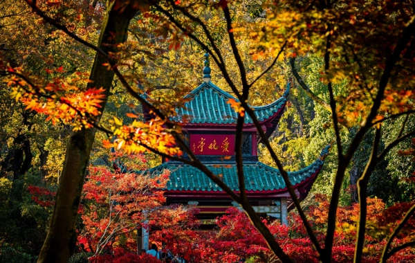 Yuelu Mountain National Key Scenic Area:A Journey to the Pinnacle of the