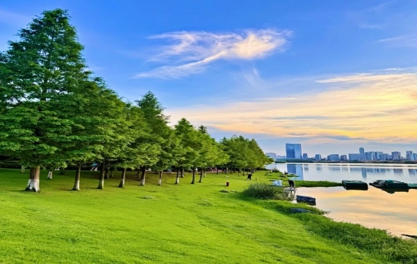 Yanghu Wetland Park:A Journey of Rebirth for Humanity and Nature in Central-South China’s Largest Urban Wetland-3
