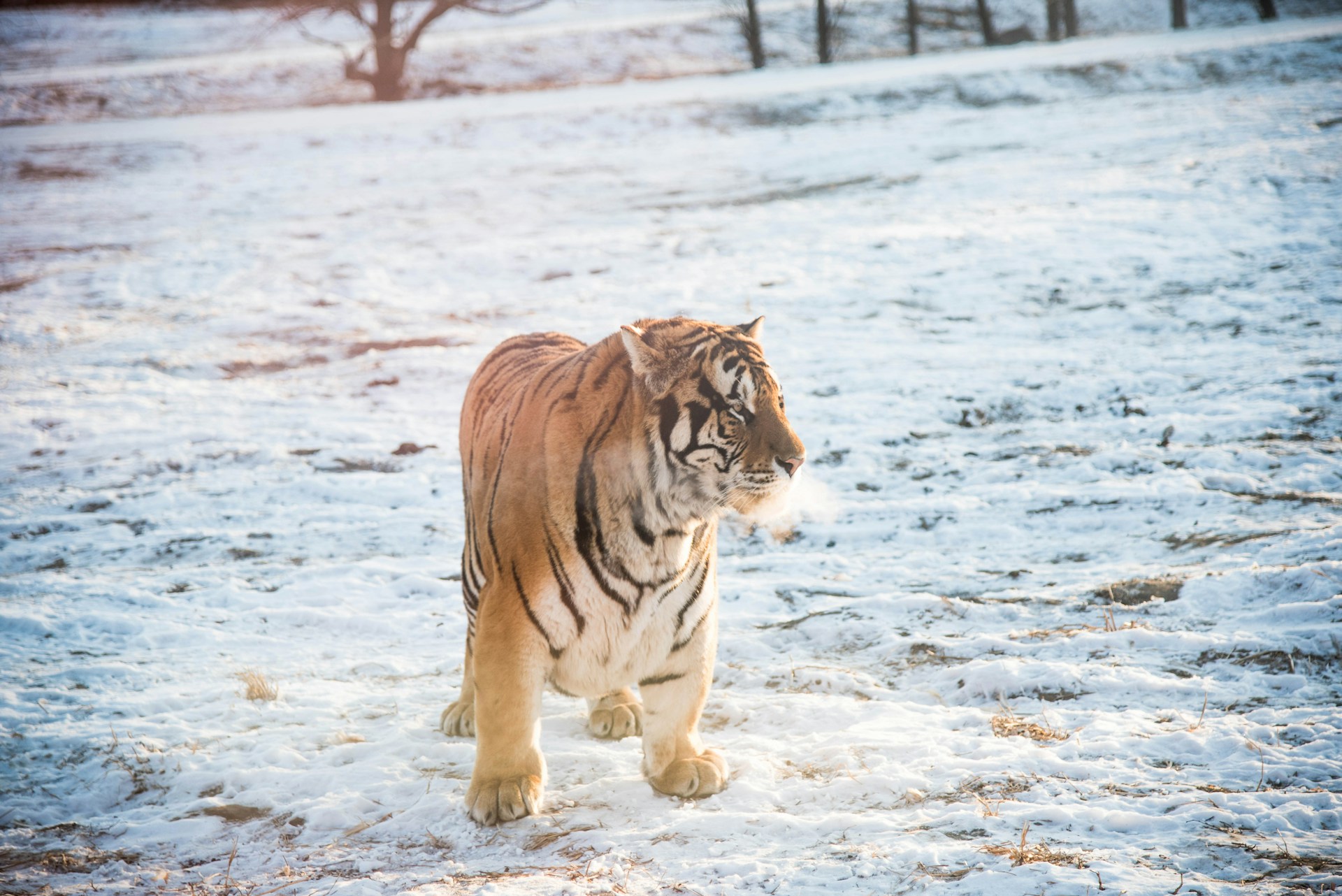 Harbin Highlights