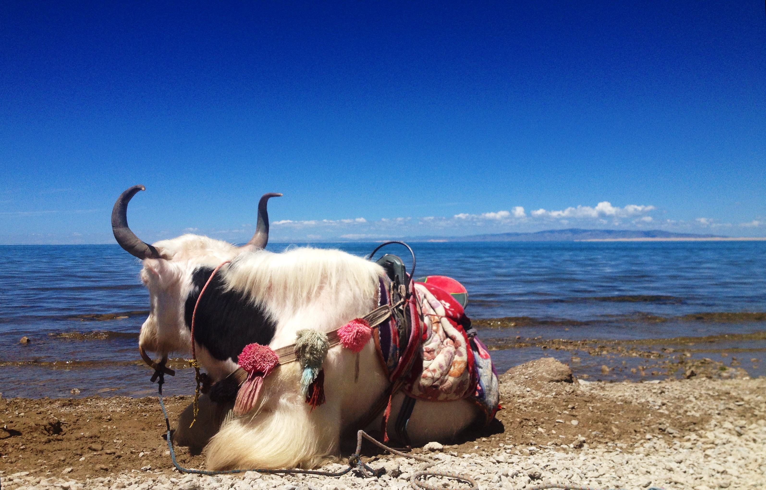Qinghai's Top 10 Must-Do Travel Activities