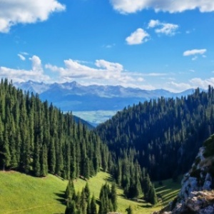 Xinjiang Cultural Immersion: 6 Days of History, Traditions, and Scenic Beauty