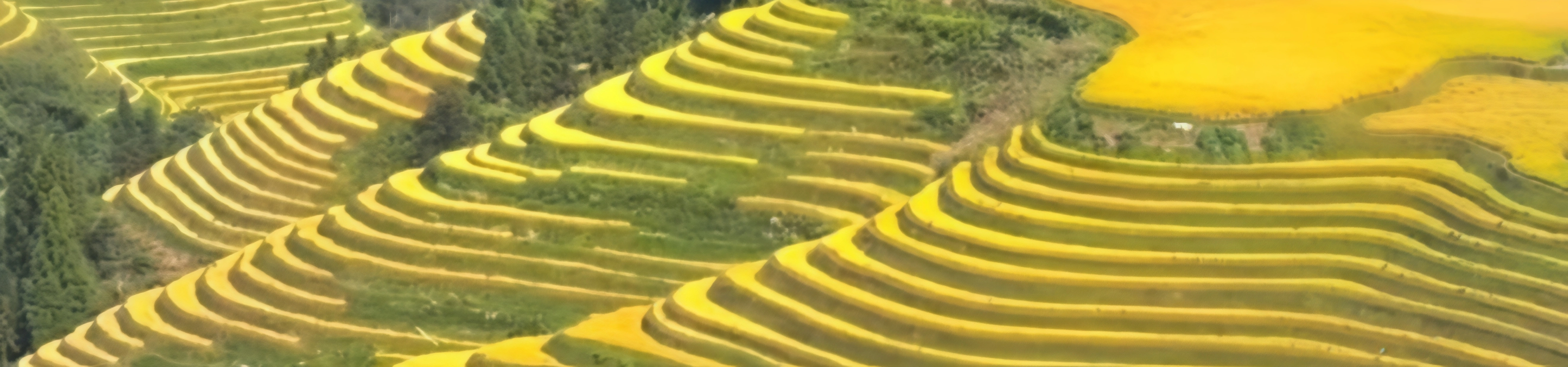 Shenzhen Guilin and Yangshuo 6-Day Tour