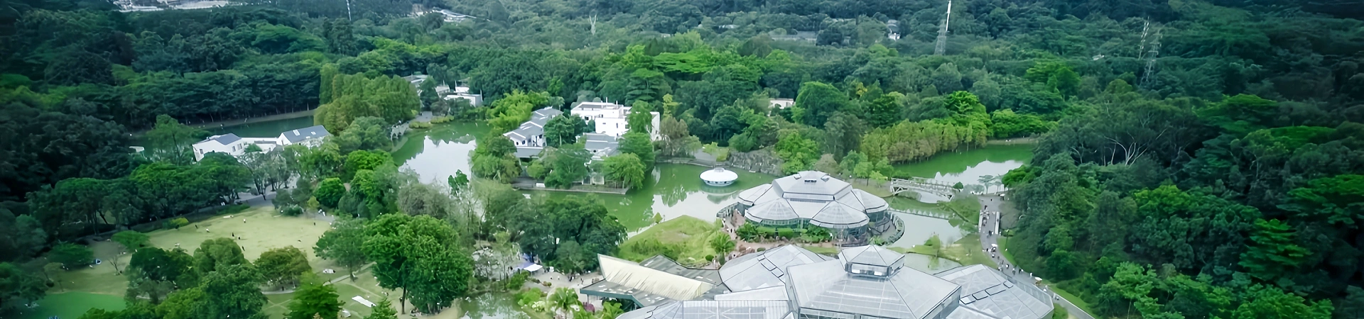 South China National Botanical Garden