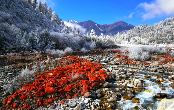 Hailuogou Glacier Park