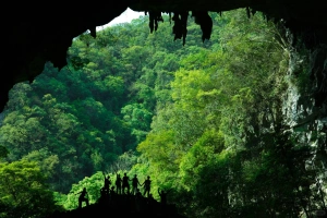 Maolan National Nature Reserve: An Expedition to the Primordial Karst Forest