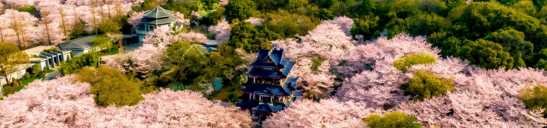 Yuantouzhu