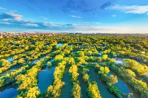 Xixi National Wetland Park
