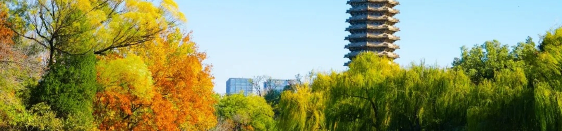 Peking University