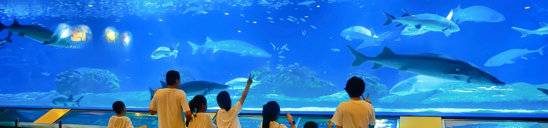 Beijing Aquarium
