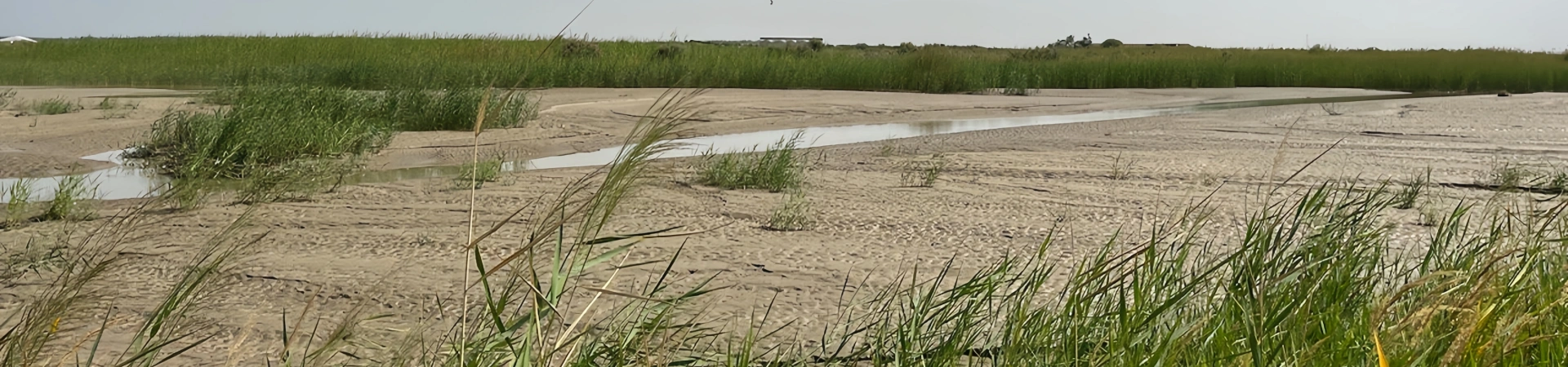 Lalikun Wetland