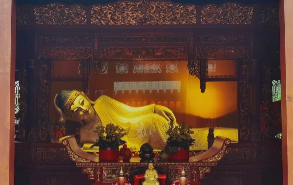 일 6: 상해 - 심천