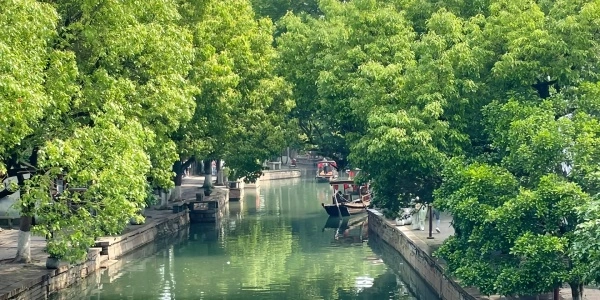 일 6: 상해 - 심천