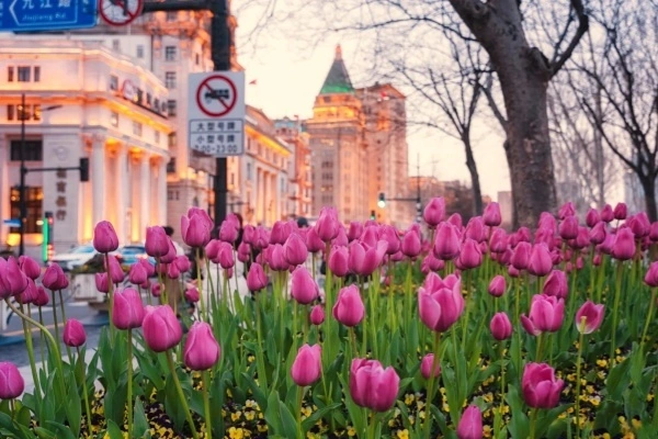 Day 7: Shanghai Departure