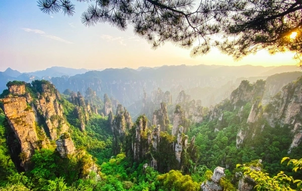 Jour 3: Shanghai - Zhangjiajie