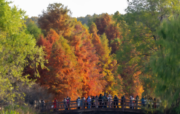Furong Ancient Town