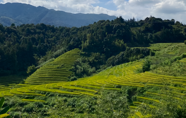 Furong Ancient Town