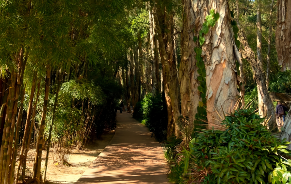 Furong Ancient Town