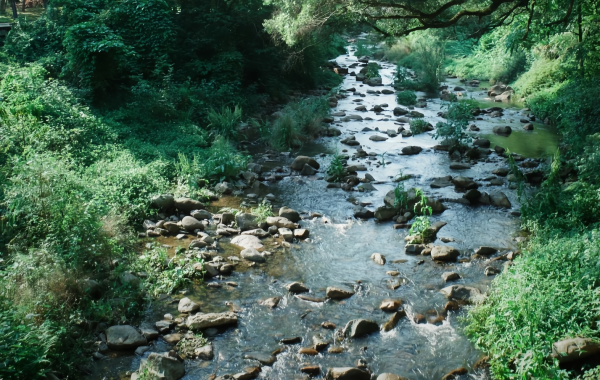 Furong Ancient Town