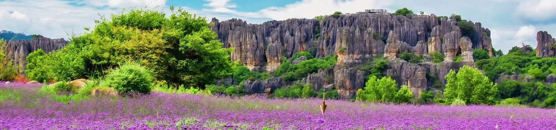 Yunnan Stone Forest & Terrace Tour 