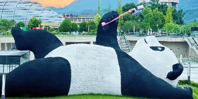 Day 1: Chengdu One-day Tour