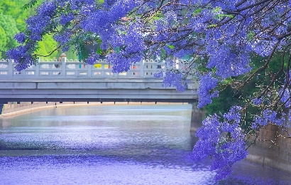 5 Days Zhangjiajie Tour