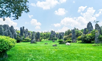 Day 2: Stone Forest Area