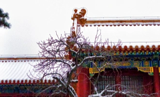 Day 11: Depart from Beijing