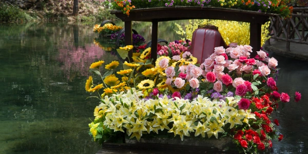 Day 4: Dali – Guangzhou