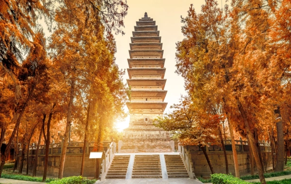 Day 6: Xi'an Departure