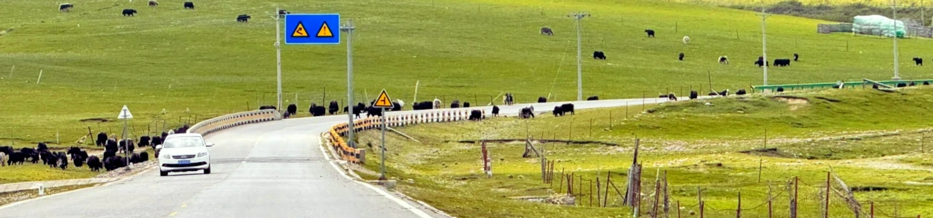 1 Day Qinghai Nature Tour