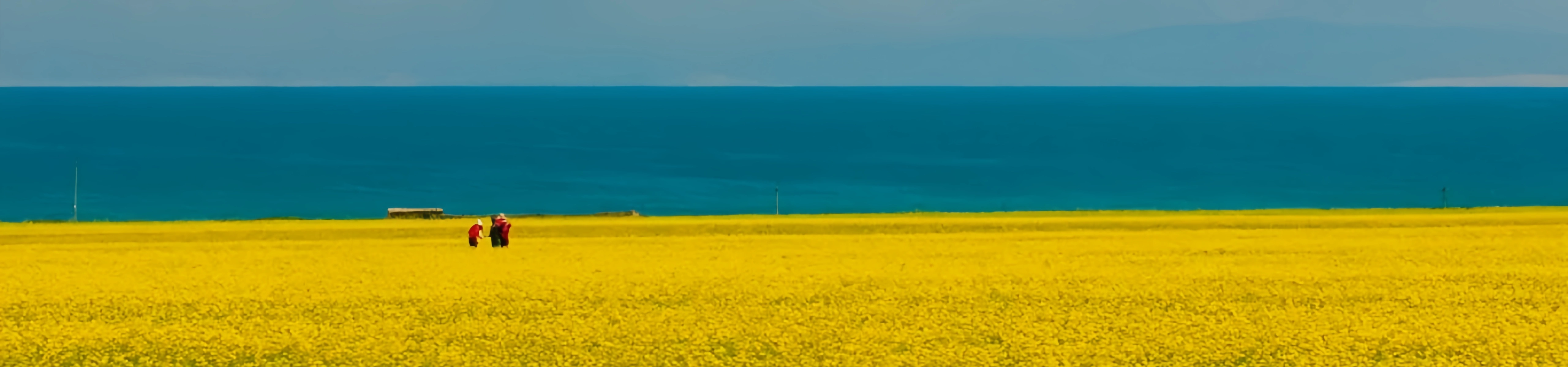 2 Days Xining & Qinghai Lake Cultural Discovery Tour