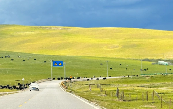 Day 1: Riyue Mountain