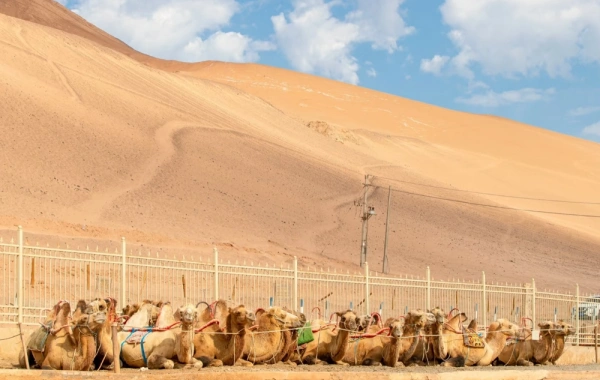 Day 3: Flaming Mountain (Scenic Drive) – Tuyugou Grand Canyon – Bezeklik Thousand Buddha Caves