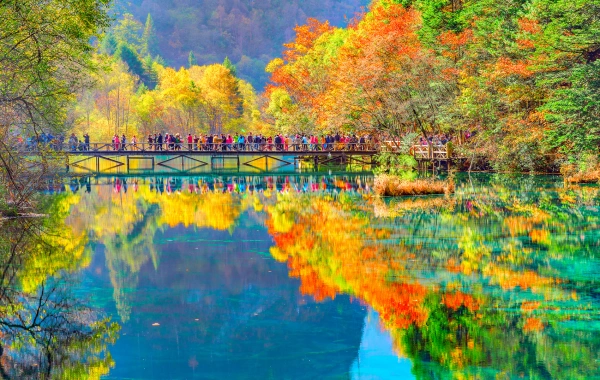 Panda, Ancient Town & Jiuzhaigou-Huanglong Tour