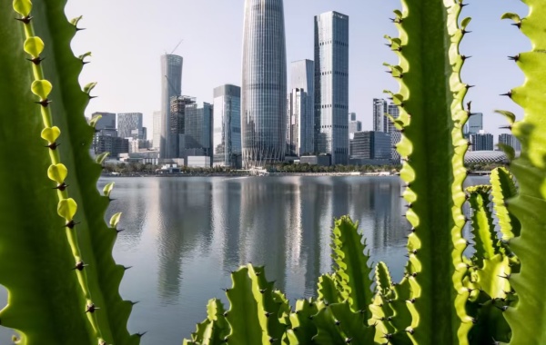 Day 1: Shenzhen Arrival