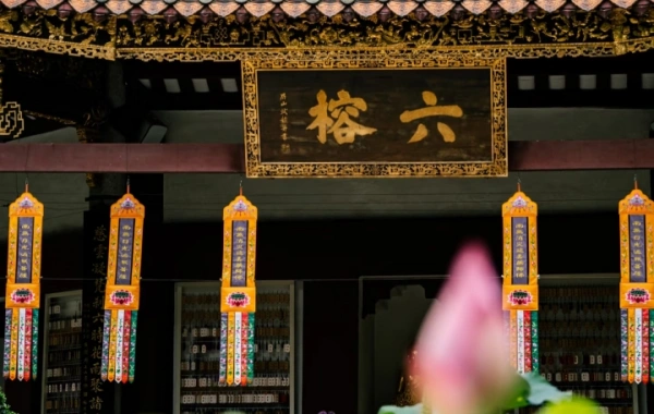 Day 3: Shenzhen – Guangzhou (by high-speed rail)