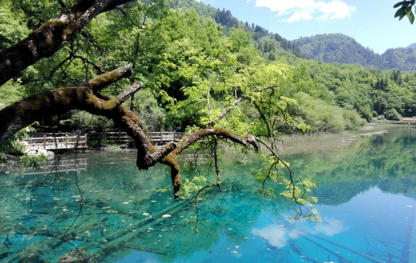 Day 3: Jiuzhaigou Valley
