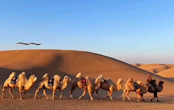 Giorno 9: Partenza Hohhot