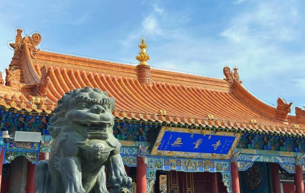 Giorno 8: Ulanqab--Hohhot