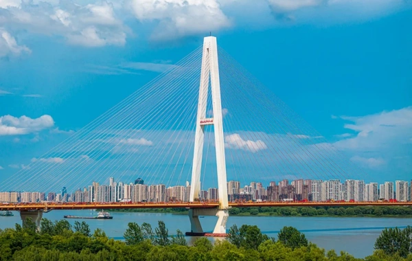 Day 3: Shanghai--Wuhan