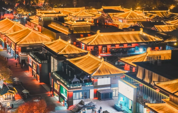 Day 5: Discover Xi'an's Treasures