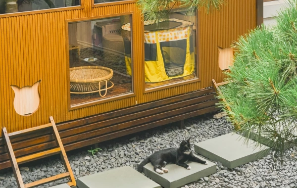 Giorno 2: Shanghai-Shangrao